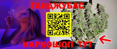 гидропоника Новозыбков