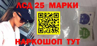 гидропоника Новозыбков