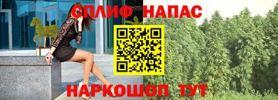 гидропоника Новозыбков