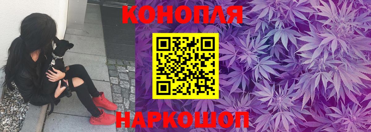Каннабис план Сатка